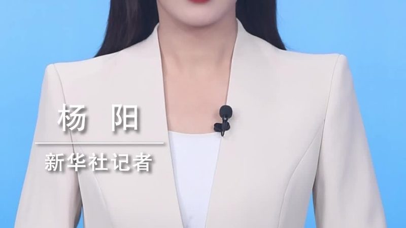 芯片设计研发外包：企业如何规避潜在风险**